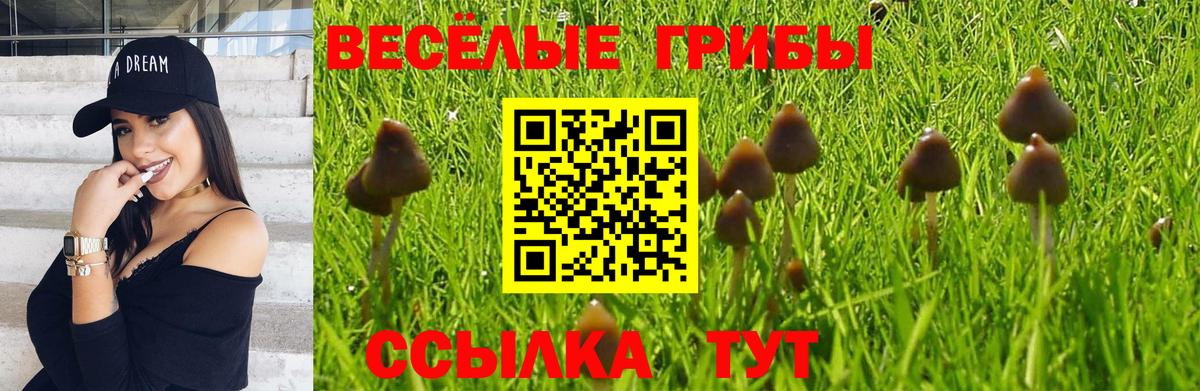 Галлюциногенные грибы MAGIC MUSHROOMS Конаково
